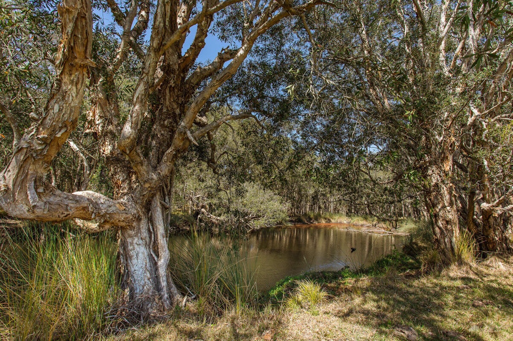 71 Red Root Road, Pillar Valley, NSW, 2462 - Image 32