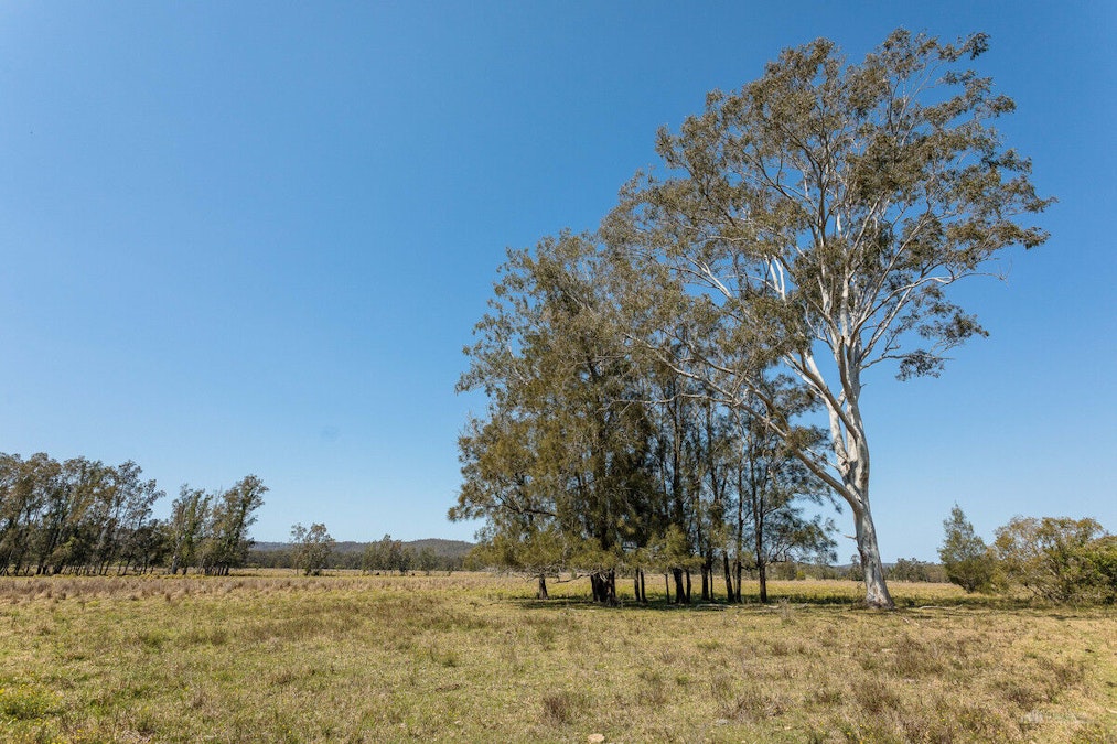 71 Red Root Road, Pillar Valley, NSW, 2462 - Image 1