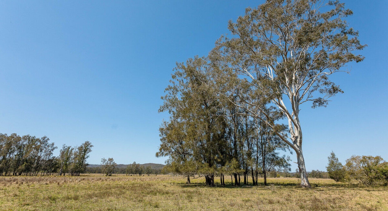 71 Red Root Road, Pillar Valley, NSW, 2462 - Image 1
