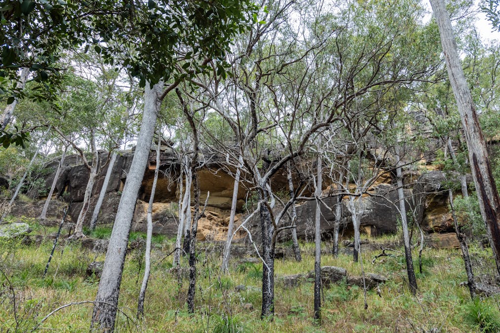 409 Wombat Creek Road, Wombat Creek, NSW, 2460 - Image 11