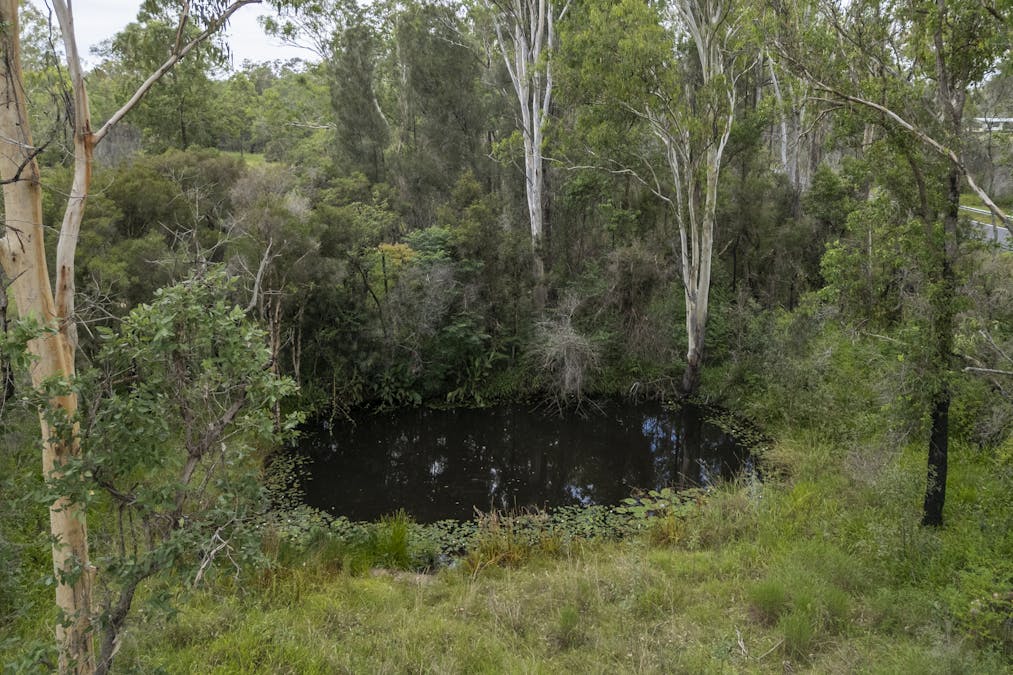 33 Dilkoon Road, Dilkoon, NSW, 2460 - Image 20